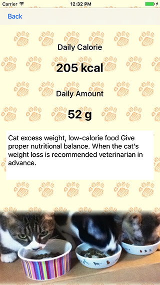 Calorie Calculator For Cats